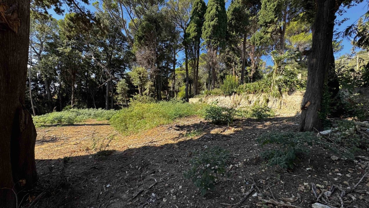 case vendita castiglioncello 15