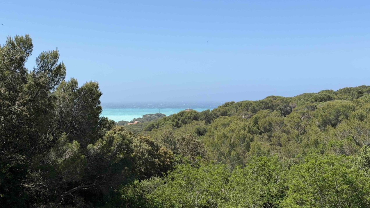 case vendita castiglioncello 6